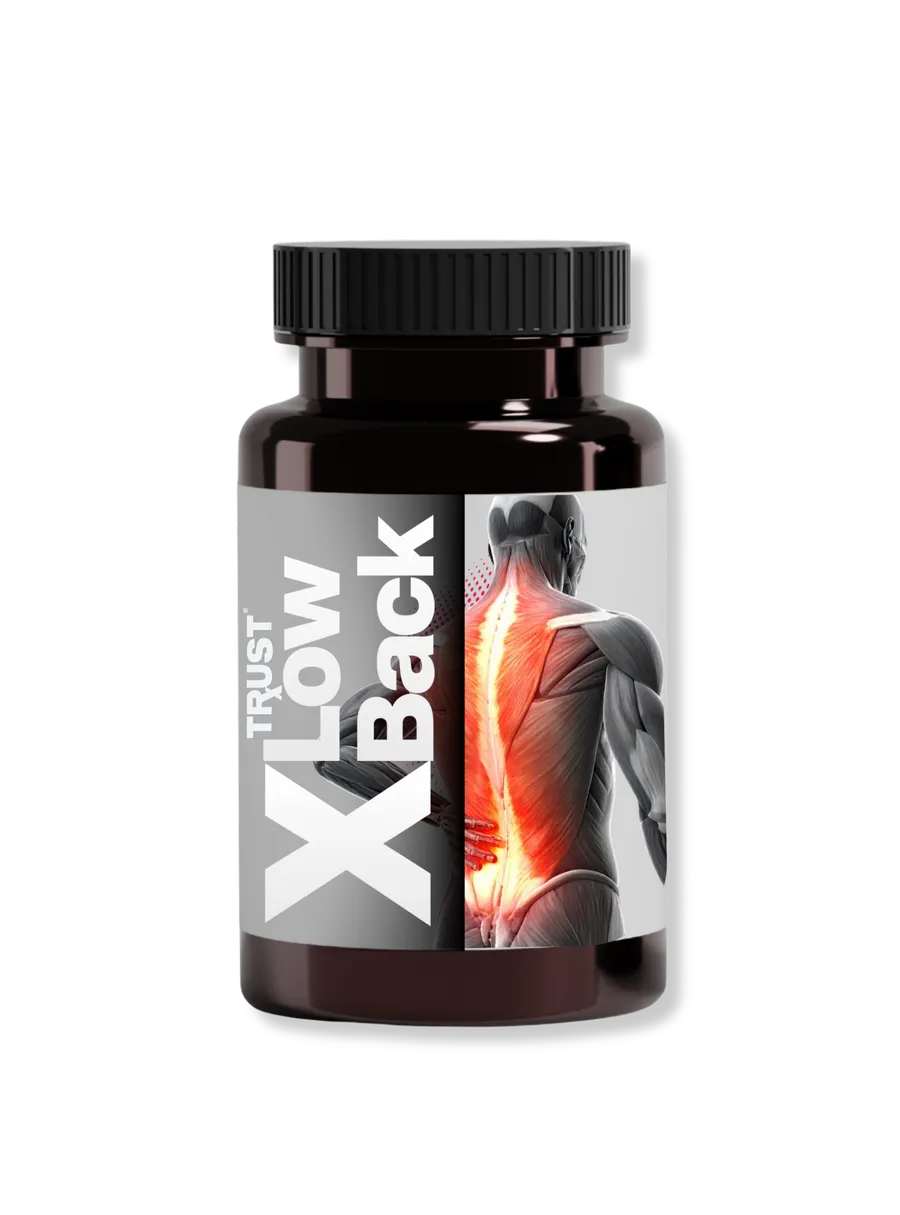 X-LowBack