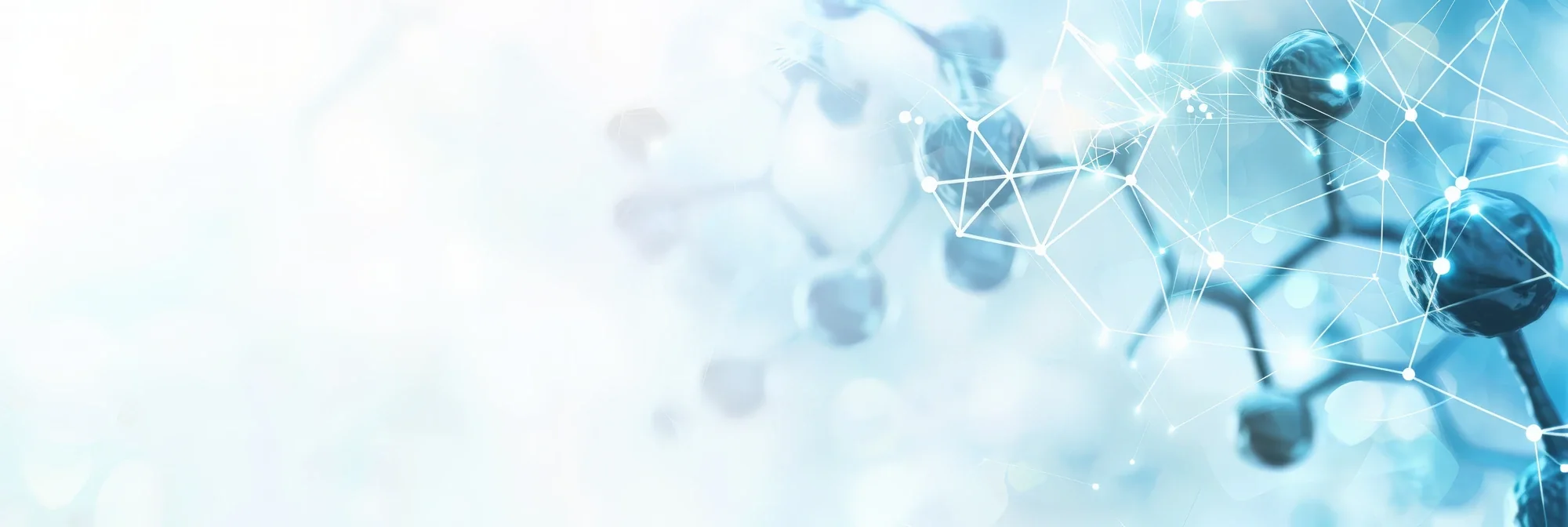 Abstract molecular network