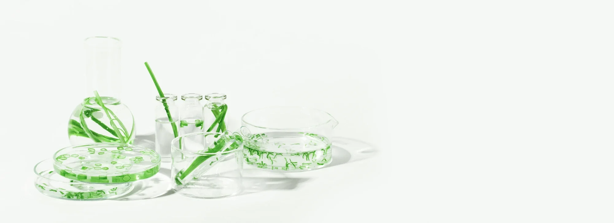 General Wellness – Stabicon