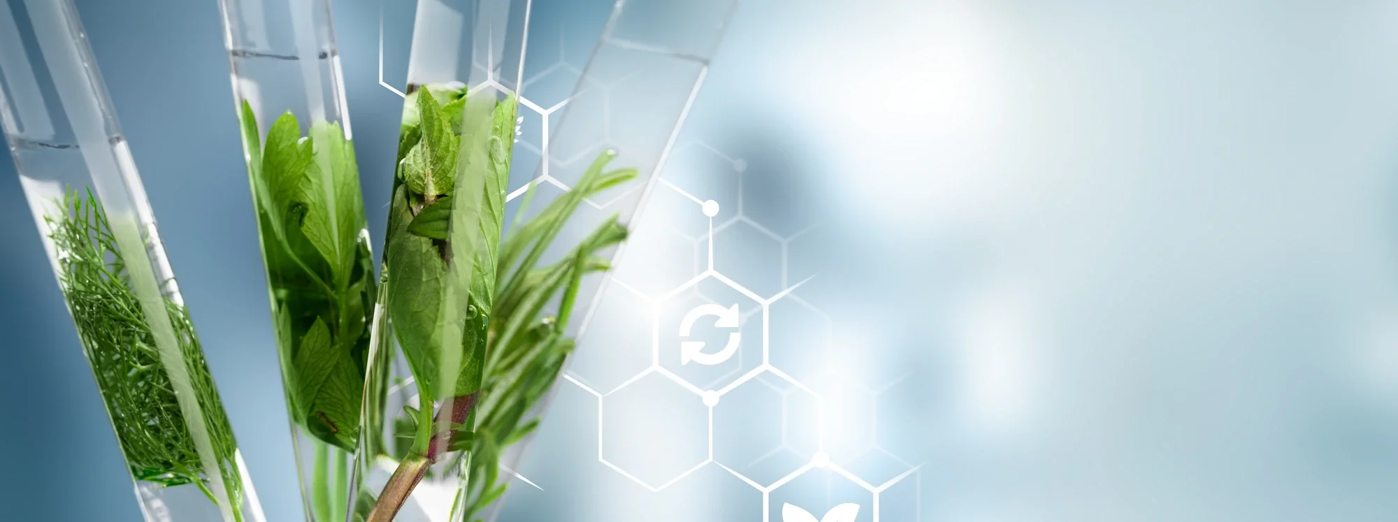 Polyherbal – Stabicon