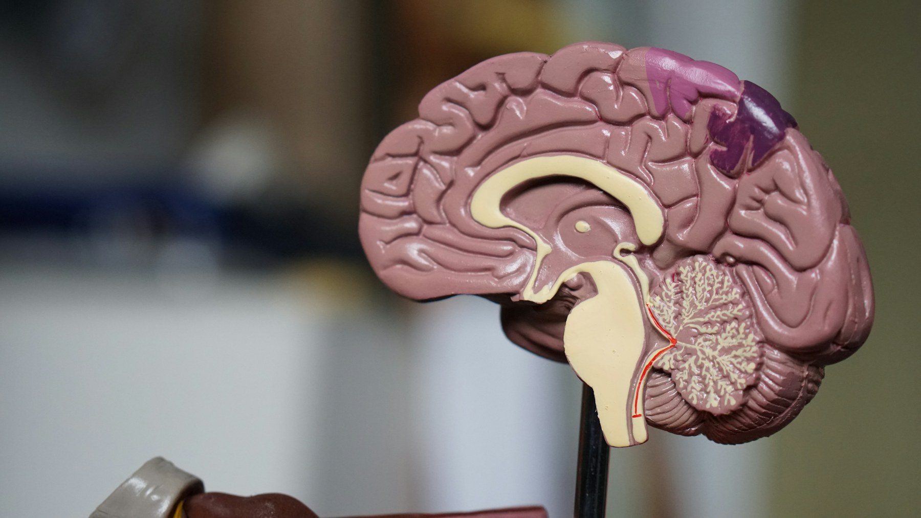 Nitrosamine Impurity Testing for regulatory confidence