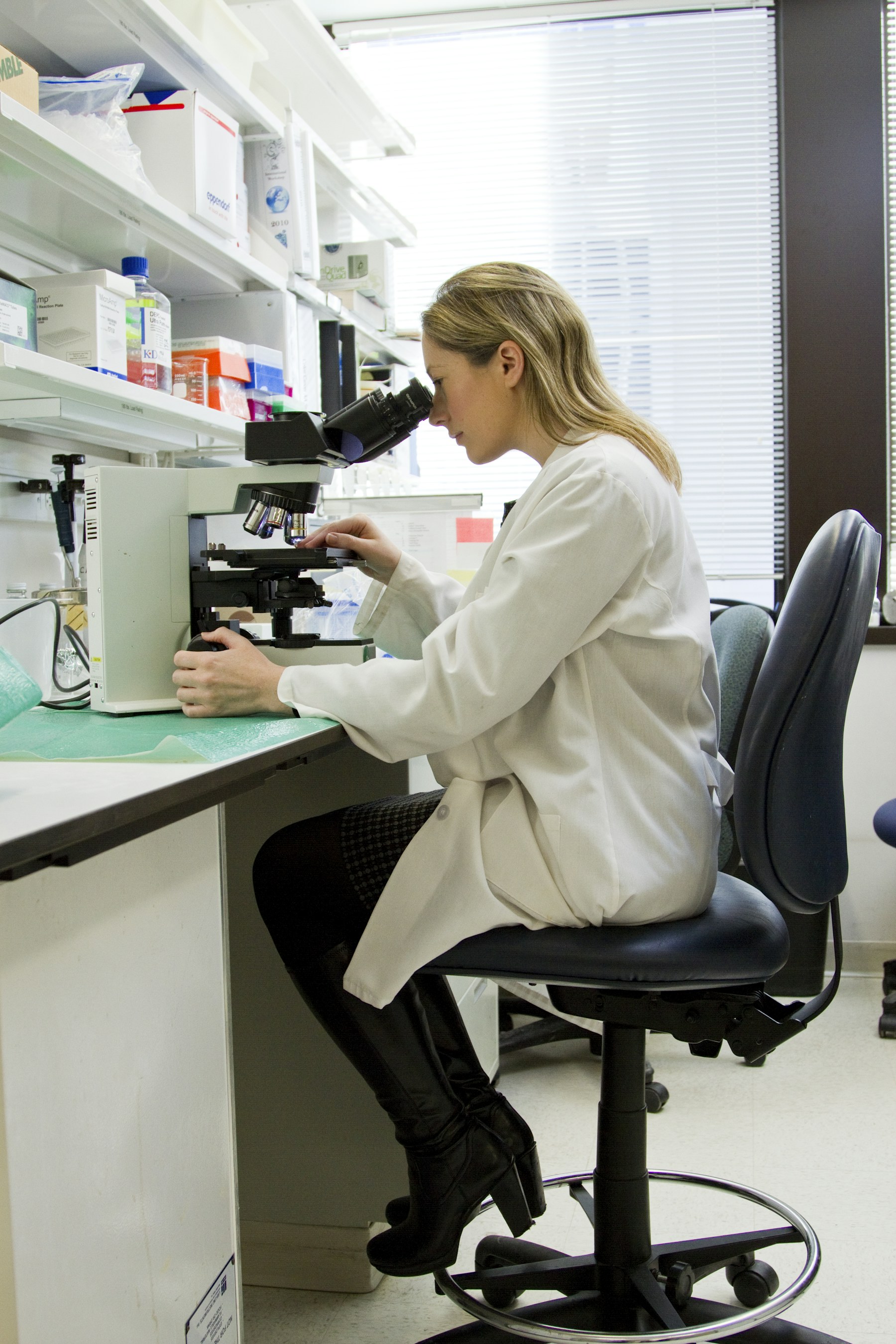 Stability Studies Built for Regulatory Confidence